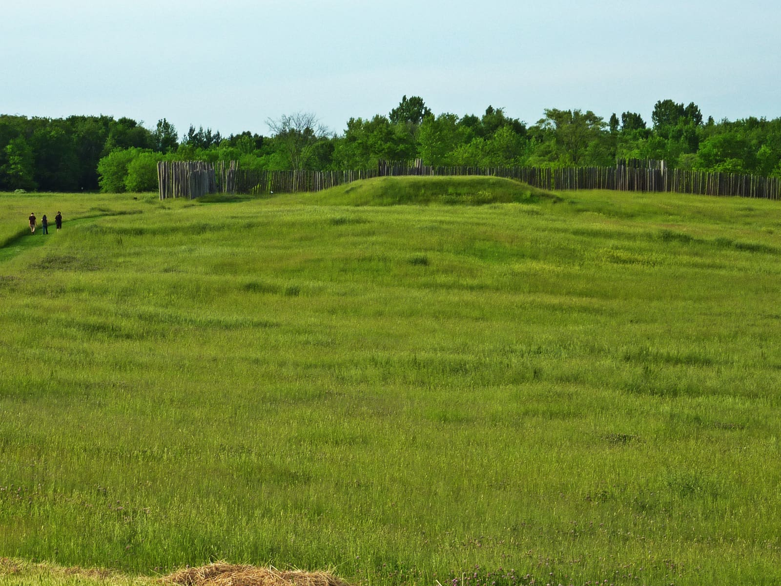 Platform Mound